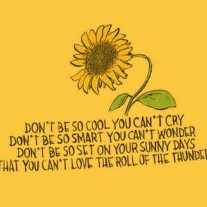 Meet your Posher, Bella